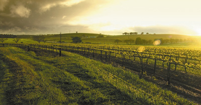 Barossa Valley